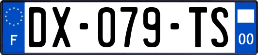 DX-079-TS