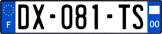 DX-081-TS