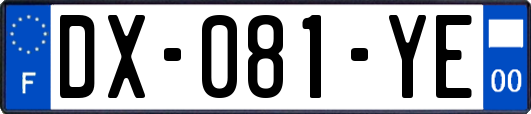 DX-081-YE