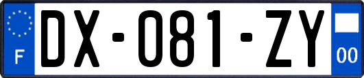 DX-081-ZY