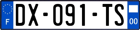 DX-091-TS