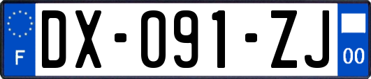 DX-091-ZJ