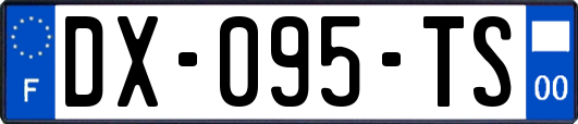 DX-095-TS