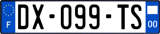 DX-099-TS