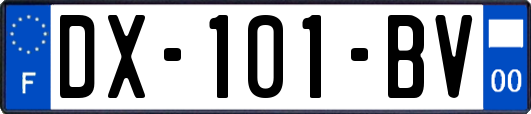 DX-101-BV