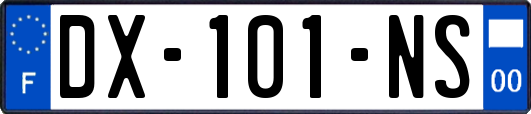 DX-101-NS