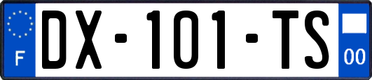 DX-101-TS