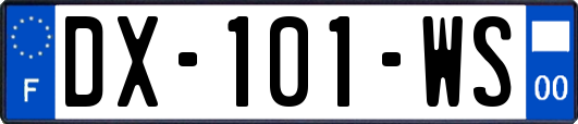 DX-101-WS