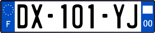 DX-101-YJ