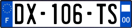 DX-106-TS