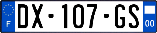 DX-107-GS