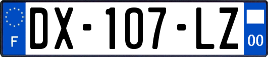 DX-107-LZ