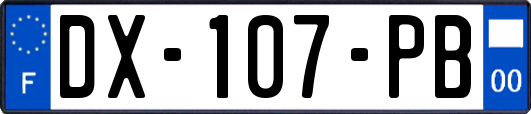 DX-107-PB