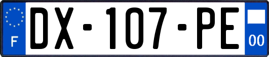 DX-107-PE