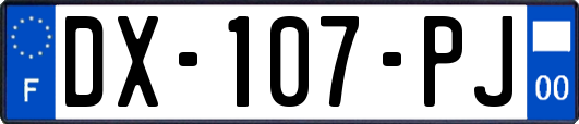 DX-107-PJ