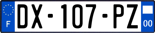 DX-107-PZ