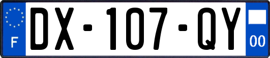 DX-107-QY