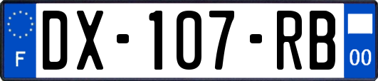 DX-107-RB