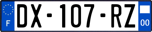 DX-107-RZ