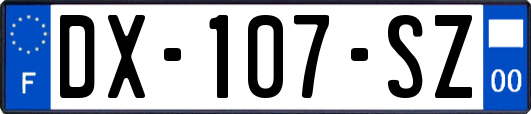 DX-107-SZ