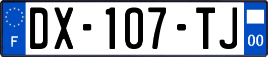 DX-107-TJ