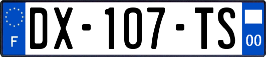 DX-107-TS