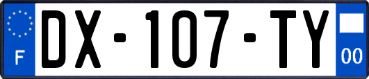 DX-107-TY
