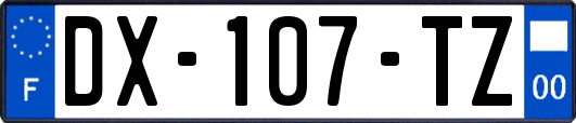 DX-107-TZ