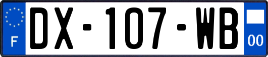 DX-107-WB