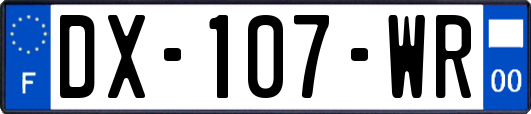 DX-107-WR