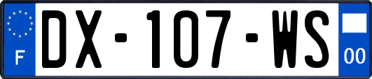 DX-107-WS