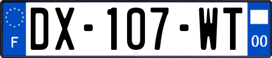 DX-107-WT