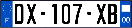 DX-107-XB