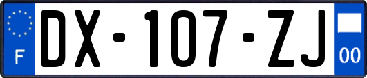 DX-107-ZJ