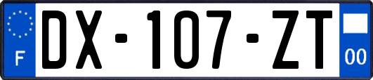 DX-107-ZT