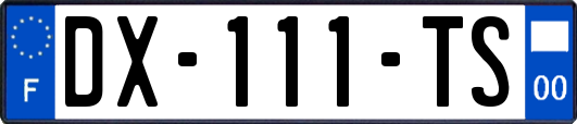 DX-111-TS