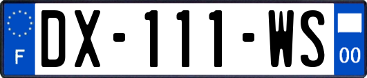 DX-111-WS