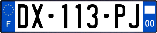 DX-113-PJ