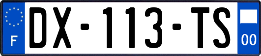 DX-113-TS