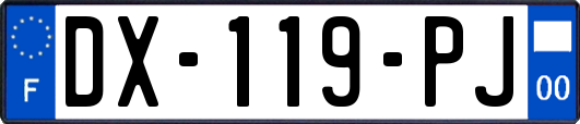 DX-119-PJ