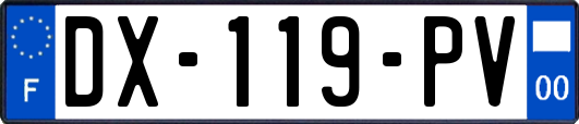 DX-119-PV