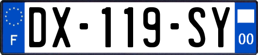 DX-119-SY