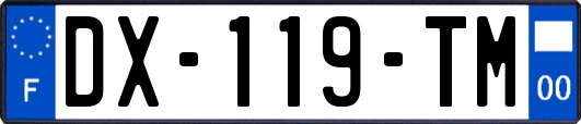 DX-119-TM
