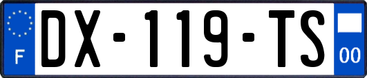 DX-119-TS
