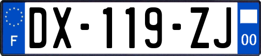 DX-119-ZJ