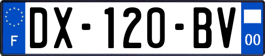 DX-120-BV