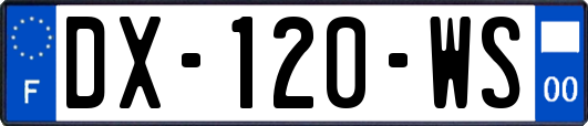 DX-120-WS