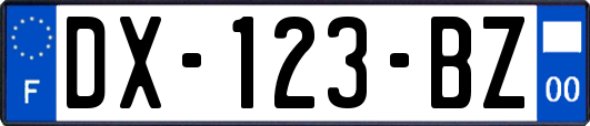 DX-123-BZ