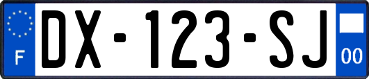 DX-123-SJ