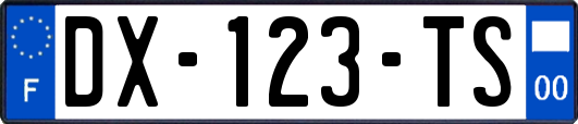 DX-123-TS